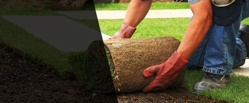 Defuniak Springs Landscapers